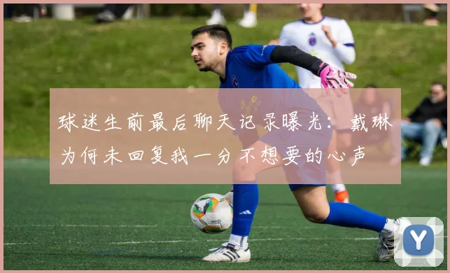 球迷生前最后聊天记录曝光：戴琳为何未回复我一分不想要的心声