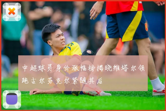 中超球员身价涨幅榜揭晓维塔尔领跑古尔芬克尔紧随其后